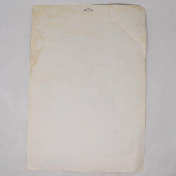 Vintage UF Florida Gators Window Clings Albert College Fan 1980s Car Camper Home - Picture 6 of 12